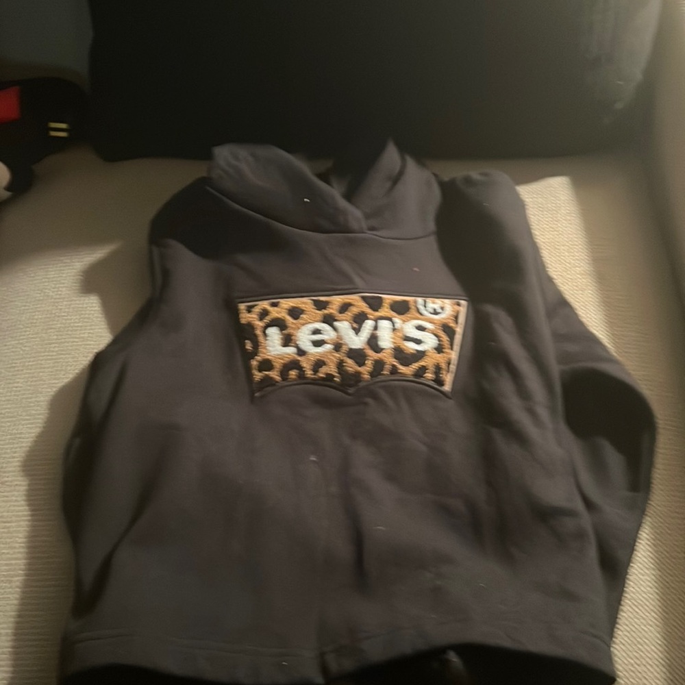 Lil Girls hoodie
